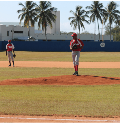 13U/14U/15U  Dominican Republic Good Boy  Baseball Week-Long MLB Experience JANUARY 2026